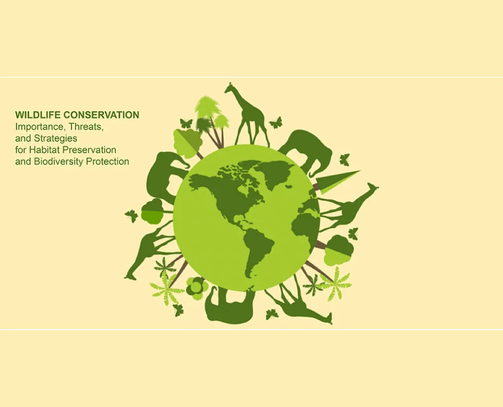 NGO Conservation